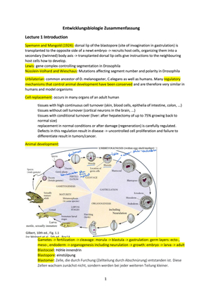 Entwicklungsbiologie Zusammenfassung