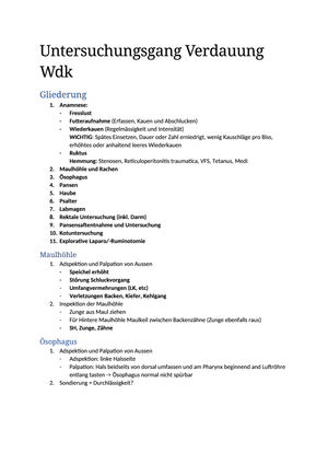 Untersuchungsgang Verdauung Wdk