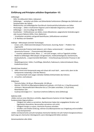 Titel des Files