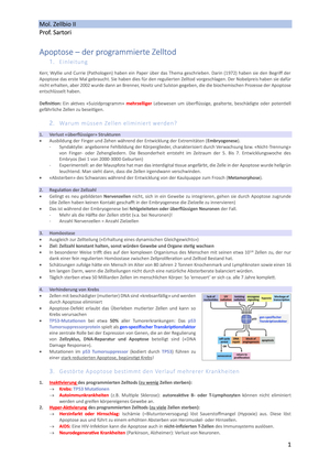 Titel des Files