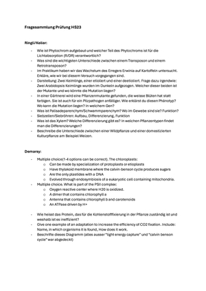 Titel des Files