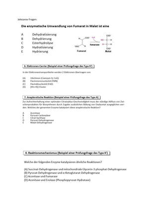 MC-Fragen aus allen Übungen