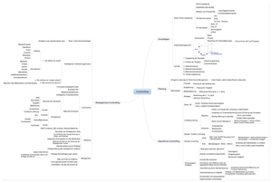 Aufgaben CFO ZSF: Controlling