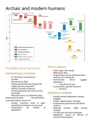 Übesicht_Archaic and Modern Humans