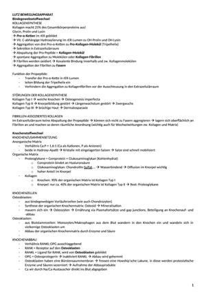 ZF Lutz Bewegungsapparat