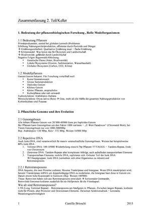 Titel des Files
