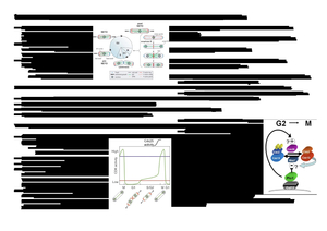 Titel des Files