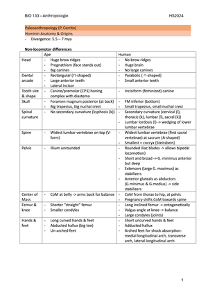 ZF Anthropologie mit Palaeolanthropology